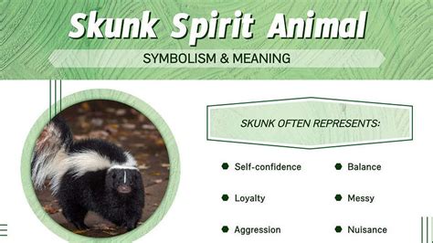 what is skunk in tagalog|SKUNK meaning in Filipino .